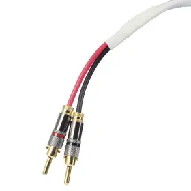 Blue Jeans Cable B077nrdc6v Ten White Speaker Welded Terminations Single - For
