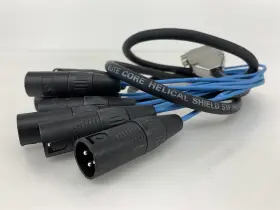 DB25XM5 ELITE CORE Xlr Male Audio Cable Breakout Snake