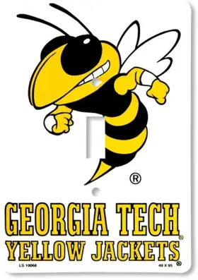 788863195759 HANGTIME Georgia Single Switch Plate Cover Light