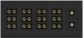 RAV-WP-24BAN-2RW-5GBK RITEAV Surround Sound Banana Wall Plate