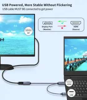 975355700742 SHUOMENG Hdmi Displayport Adapter Male #2