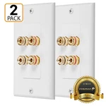 Fosmon 2 Pack Gold Plated Speaker Wall Plate, Home Theater Audio Plate. Fixed Price $18.49.