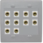 Riteav 10 Banana 5 Speaker Surround 2 Gang Coupler Wall Plate Gray. Fixed Price $34.32.