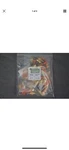 Cm-rgbconnectec Bnc Connectors - Package Of 25 Nib. Fixed Price $39.99.