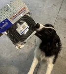 Qualgear 20 Ft High-speed Hdmi 2.0 Cable Qg-cbl-hd20-20ft W/ Ethernet, Black New. Fixed Price $12.99.