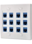Cat6 Lulosk Keystone Ethernet Wall Plate Female To White 12 Port New. Fixed Price $26.99.