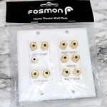 Fosmon Home Theater Wall Plate Standard 2-gang Gold Plated Copper Sealed. Fixed Price $11.50.