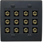Riteav 12 Banana 6 Speaker Surround 2 Gang Coupler Wall Plate Black. Fixed Price $39.61.