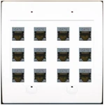 Riteav - Cat6 Shielded Wall Plate 12 Port Flat 2 Gang White. Fixed Price $68.70.